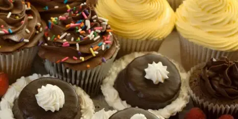 An assortment of decorated cupcakes with chocolate and vanilla frosting, sprinkles, and chocolate truffles.