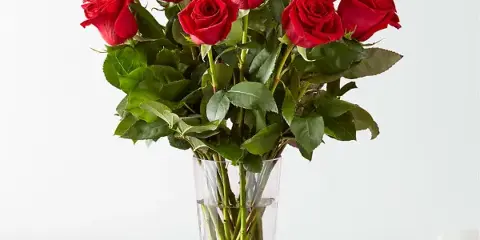 A bouquet of long-stem red roses arranged in a clear glass vase.