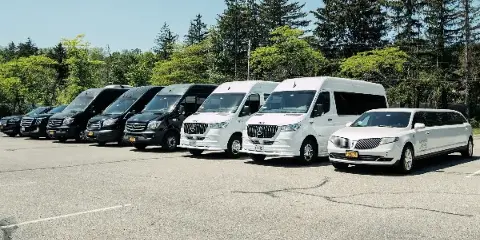 A lineup of luxury transportation vehicles including black and white Mercedes-Benz Sprinter vans and a white Lincoln Aviator limousine parked in a lot.