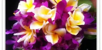 A close-up photograph of a tropical floral arrangement featuring purple and yellow plumeria flowers and orchids.