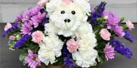 A white floral teddy bear arrangement in a basket surrounded by pink and purple flowers