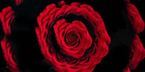 A dramatic, high-contrast fine art photograph of a red rose against a black background.