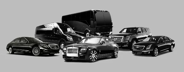 A lineup of black luxury vehicles including a Rolls-Royce, Mercedes-Benz, Cadillac, and Sprinter vans.