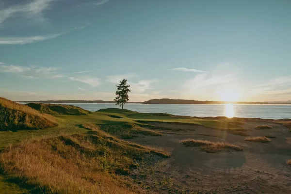 A scenic view of a links-style golf course with a lone tree on a green, overlooking a body of water at sunset.