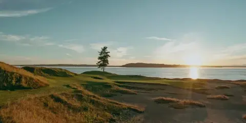 A scenic view of a links-style golf course with a lone tree on a green, overlooking a body of water at sunset.