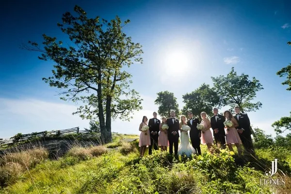 A wedding party consisting of a bride, groom, and attendants posing outdoors on a grassy hill under a bright blue sky.