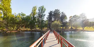 A wooden pedestrian bridge with red railings crossing a calm body of water on a sunny day, surrounded by green trees.