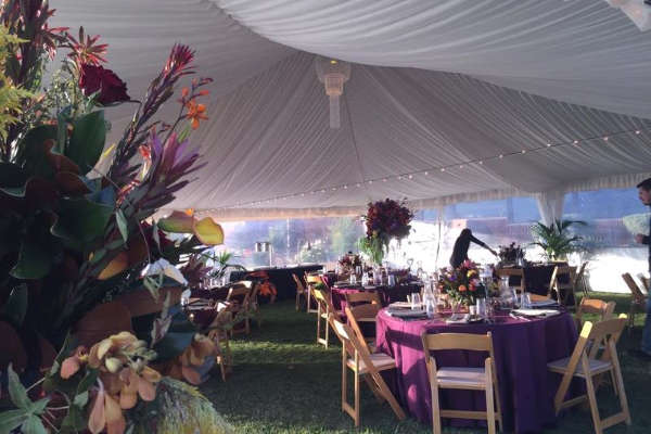 Interior of a white event tent featuring set tables with purple linens, wooden chairs, and floral centerpieces.