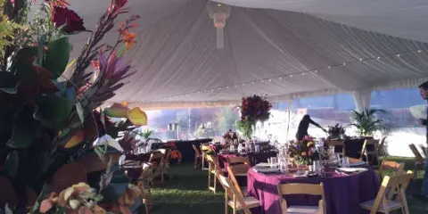 Interior of a white event tent featuring set tables with purple linens, wooden chairs, and floral centerpieces.