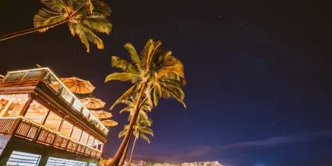 Nighttime exterior view of the Papa Kona Events & Catering oceanfront venue with palm trees and ocean view.