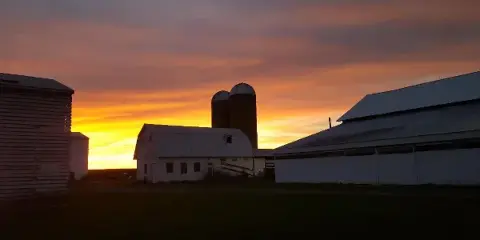 A rustic farmstead with a white barn and silos silhouetted against a vibrant orange and purple sunset sky.