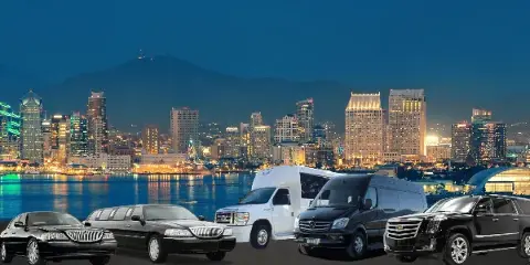 A lineup of luxury limousines and vans parked in front of the San Diego skyline at night.