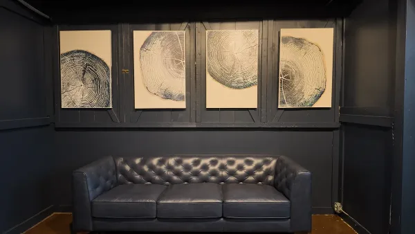 Interior lounge with a black leather sofa and framed tree-ring art on dark walls