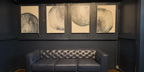 Interior lounge with a black leather sofa and framed tree-ring art on dark walls