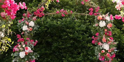 A floral wedding arch decorated with pink and white flowers and greenery, with two white chairs set up in front of a hedge.