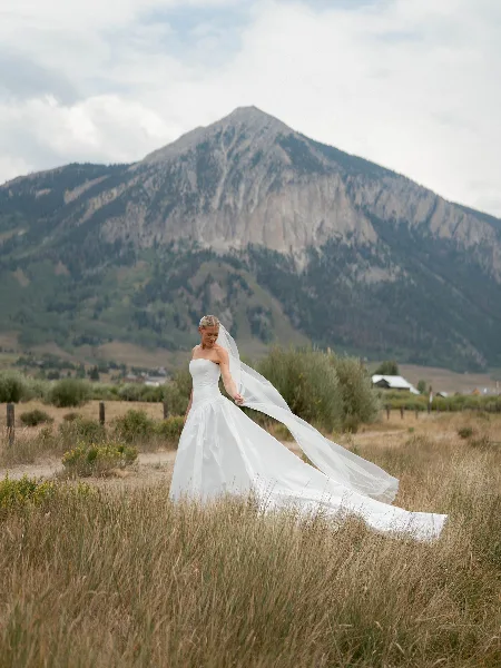 A bride in a white wedding dress and veil standing in a grassy field with a large mountain peak in the background.