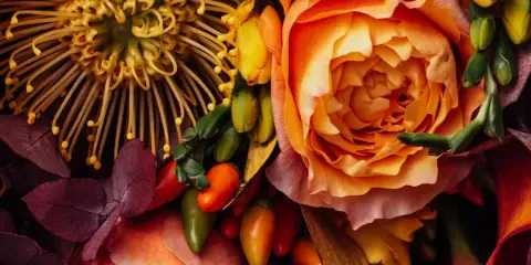 Close-up of a floral arrangement with orange roses, yellow protea, and dark foliage.