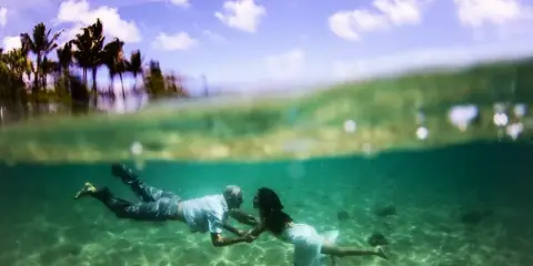 A couple swimming underwater in a tropical location with palm trees visible above the water surface.