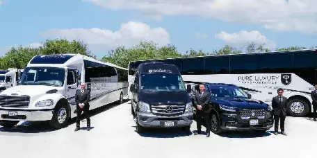 A lineup of Pure Luxury Transportation vehicles including a white coach bus, a black Mercedes van, and a black SUV, with staff members standing in front.