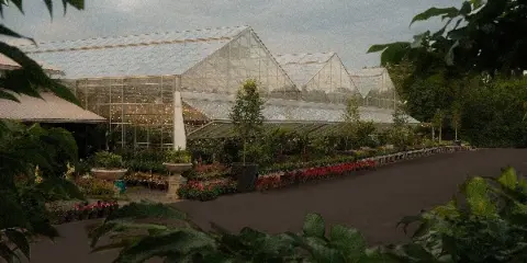 Glass greenhouse structure at a plant nursery with rows of potted plants and flowers along a paved walkway.