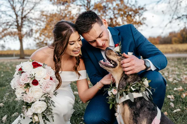 A bride and groom in wedding attire kneeling in a field with their dog, which is wearing a floral collar.