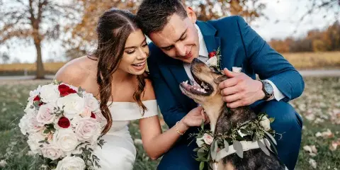 A bride and groom in wedding attire kneeling in a field with their dog, which is wearing a floral collar.