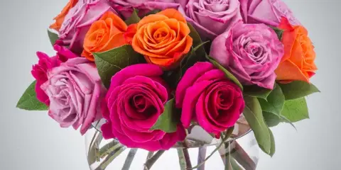 A bouquet of pink, lavender, and orange roses arranged in a clear glass vase.