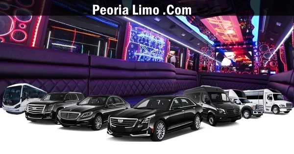 A promotional image showing a fleet of luxury vehicles including sedans, SUVs, and party buses, with a background view of a party bus interior featuring purple seating and LED lighting.