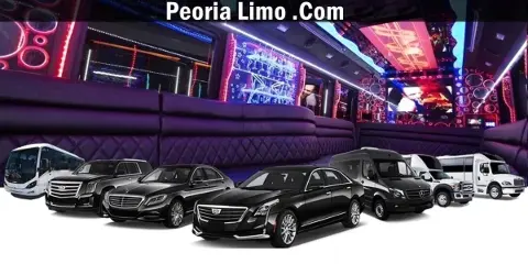 A promotional image showing a fleet of luxury vehicles including sedans, SUVs, and party buses, with a background view of a party bus interior featuring purple seating and LED lighting.