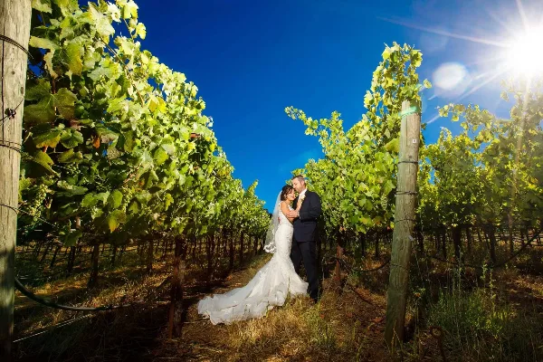 A bride and groom standing together in a vineyard row under a bright blue sky.