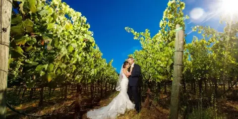 A bride and groom standing together in a vineyard row under a bright blue sky.