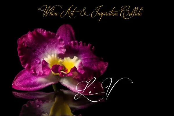Le Vonne Inspirations floral design, Walden New York