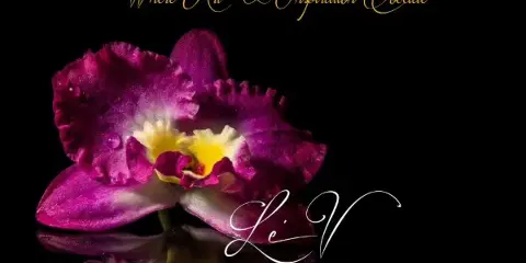 Le Vonne Inspirations floral design, Walden New York