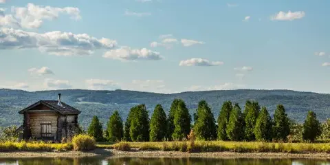 A rustic wooden cabin sits by a pond with a row of evergreen trees and rolling hills in the background.