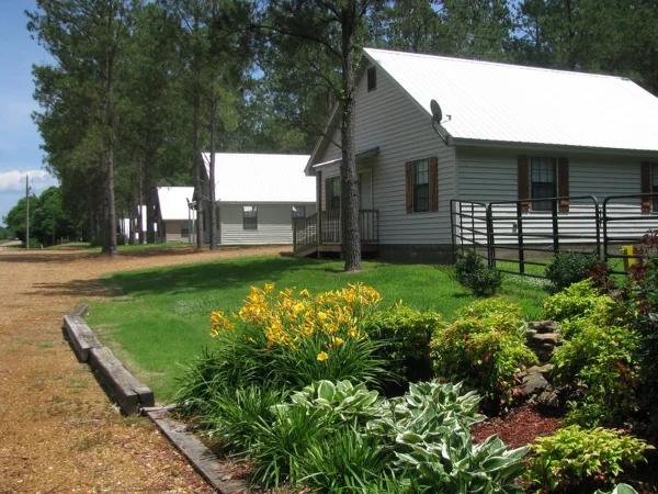White-roofed rural cabins with a landscaped garden and pine trees at a countryside venue.