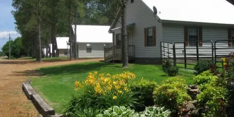 White-roofed rural cabins with a landscaped garden and pine trees at a countryside venue.