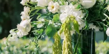 A close-up of a white rose and greenery floral arrangement in a tall glass vase.