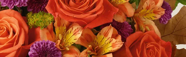 A close-up photograph of a vibrant floral arrangement featuring orange roses, peach lilies, and purple chrysanthemums.