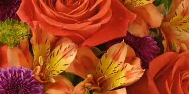 A close-up photograph of a vibrant floral arrangement featuring orange roses, peach lilies, and purple chrysanthemums.