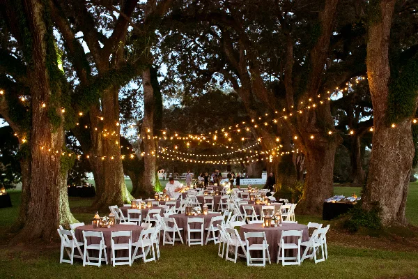 Outdoor wedding reception with round tables and string lights under large oak trees