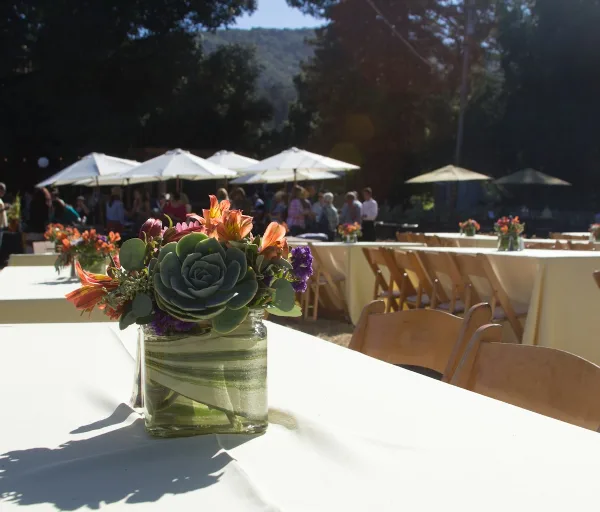 An outdoor event setup featuring long tables with white tablecloths, wooden chairs, and floral centerpieces in a glass jar.