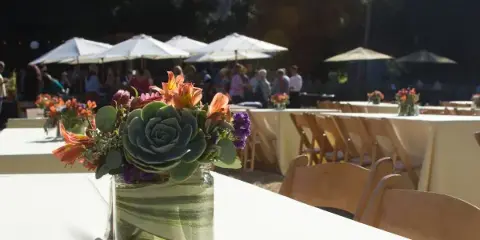 An outdoor event setup featuring long tables with white tablecloths, wooden chairs, and floral centerpieces in a glass jar.
