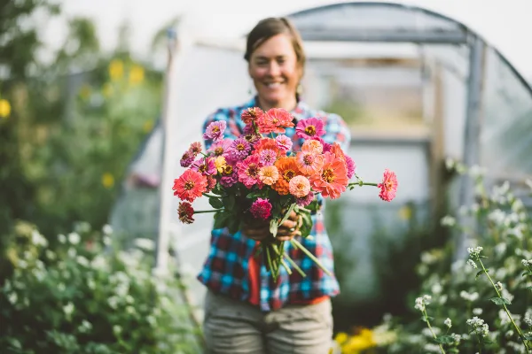 A smiling woman in a plaid shirt holding a vibrant bouquet of pink and orange zinnias in a garden.