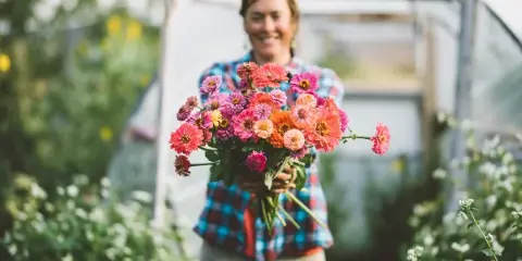 A smiling woman in a plaid shirt holding a vibrant bouquet of pink and orange zinnias in a garden.