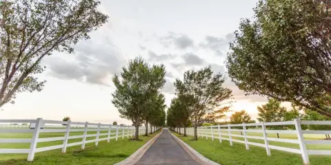 A paved tree-lined road flanked by white fences and manicured grass at a private estate venue.
