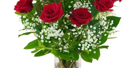 A bouquet of red roses and baby's breath arranged in a clear cylindrical glass vase.