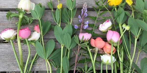 A flat lay of fresh cut flowers including peonies, lupine, and yellow blooms with green stems and leaves arranged on a weathered wooden surface.