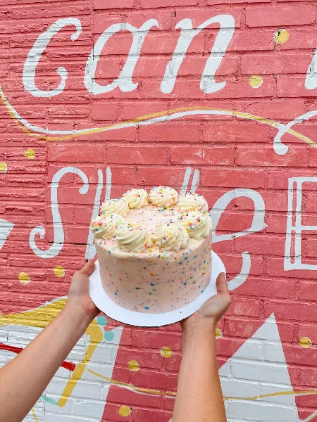 A round cake with white piped frosting and rainbow sprinkles held by two hands against a pink painted brick wall.