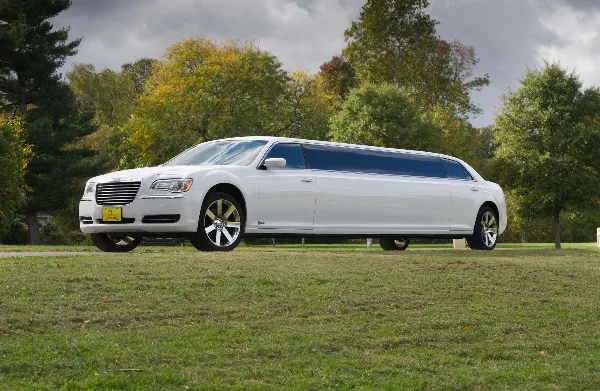 White stretch limousine parked on grass with trees in the background