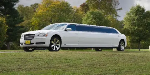 White stretch limousine parked on grass with trees in the background